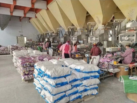 Polvere detergente per lavanderia profonda per la pulizia profonda / protezione del colore